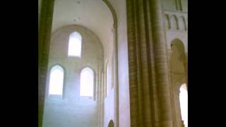 Abbaye de Fontevraud [upl. by Ahseal]