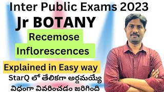 Recemose Inflorescence  Inter First Year Most Important 8 Marks Question [upl. by Woodrow]