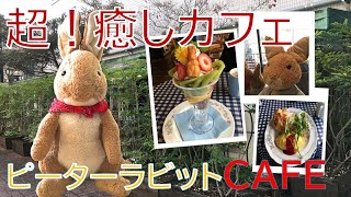 超！癒しのカフェ！ピーターラビット映画の世界！ピーターラビットカフェ自由が丘店に行ってきました！ [upl. by Hoi]