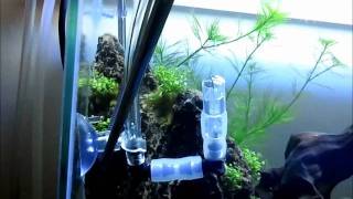 diy co2 diffuser and co2 reactor [upl. by Reel]