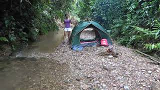 Wilderness adventure Solo Bushcraft amp Camping Cooking Relaxing Satisfied  Waterfalls sounds [upl. by Aisek]