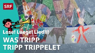 SamichlausLied Was tripp tripp trippelet  Lose Luege Liedli  Kinderlieder  SRF Kids [upl. by Chane]