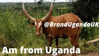 Uganda Pearl Of Africa in 2 Minutes [upl. by Jemina]