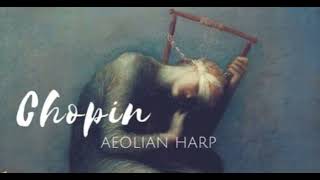 Chopin Étude Op 25 No 1 quot Aeolian Harpquot Eric Himy 2010 [upl. by Nainatrad]