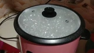 রাইস কুকারে ভাত রান্নার পদ্ধতি।। Cook Rice in Rice Cooker Rice cooker e vat ranna korer System [upl. by Merete]