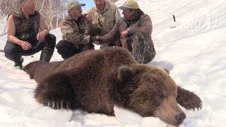 Kamchatka Spring Brown Bear 2015 Trailer [upl. by Sabina]