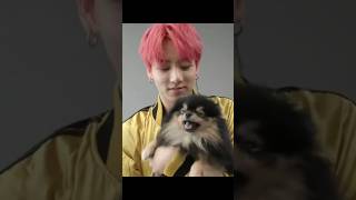 Jungkook playing with yeontan bts btsarmy jungkook army yeontan kookie bunny [upl. by Swanhilda]