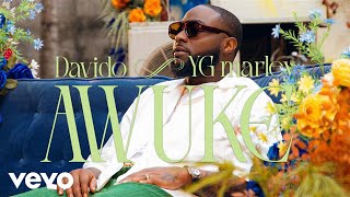 Davido YG Marley  Awuke Official Video [upl. by Nanji]