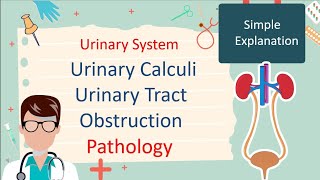 Urinary Calculi and Urinary Track obstruction  Pathology شرح بسيط [upl. by Baldwin]