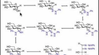 Osazone Formation A Symphony of Sugar Chemistry [upl. by Neurath]