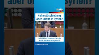 Keine Abschiebung aber Urlaub in Syrien afd ltnrw [upl. by Teodoro]