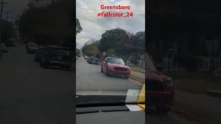 Fall color fallcolors 2024 shortvideo shorts greensboro [upl. by Krilov]