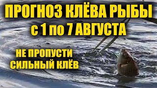 Прогноз клева рыбы на Неделю с 1 по 7 Августа Календарь рыбака на неделю Календарь клева рыбы [upl. by Marlene]