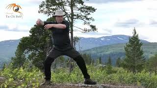 5th Posture in Laojia Yilu form  Single Whip  repeated about 10 times [upl. by Venu]