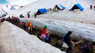 amarnath yatra 2024 latest update  amarnath yatra update today  amarnath yatra 2024 update [upl. by Sucerdor291]