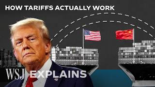 Why Economists Hate Trumps Tariff Plan  WSJ [upl. by Nosam559]