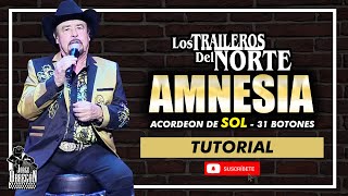 AMNESIA  LOS TRAILEROS DEL NORTE [upl. by Amilb]