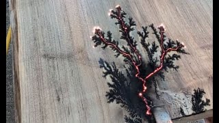 Fractal Wood Burning [upl. by Elladine]