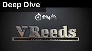 Acoustic Samples VWinds Double Reeds Review and Demo [upl. by Aisatna]