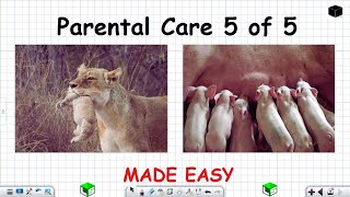 Life Sciences Grade 12 Parental Care Reproduction in Vertebrates Part 5 of 5 [upl. by Onairot197]