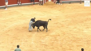 Vaquillas Feria de Albacete 2024 11 de septiembre [upl. by Hoskinson]