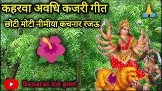 kaharwa Taal mein 🌺🌹 kajari geet chhoti Moti nimiya 🪔🌾kachnar Rajukajari geetsong [upl. by Devinna]