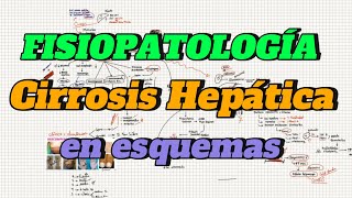 CIRROSIS HEPÁTICA  Fisiopatología en esquemas [upl. by Morra46]