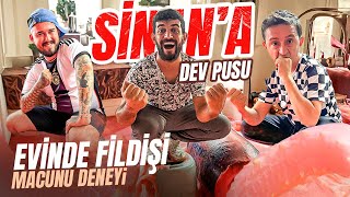 SİNANA DEV PUSU  EVİNİ FİLDİŞİ MACUNU İLE KAPLADIK [upl. by Shabbir469]