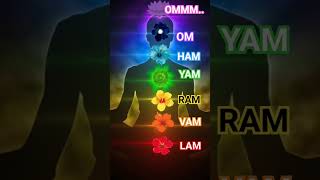 7 Chakras Mantra Chanting Meditation LAM VAM RAM YAM HAM OM AUM meditation sevenchakras shorts [upl. by Aikrehs]