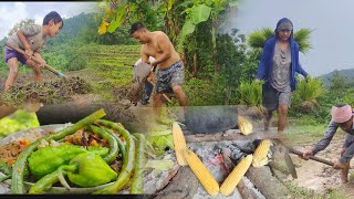 manual labour  full process of terrace farming NAGALAND  farmers of the hills [upl. by Mario]