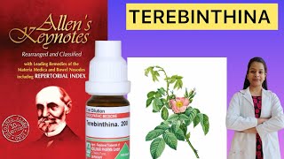 Terebinthenia homeopathic medicine Allen’s keynote materia medica in Hindi [upl. by Riggins]