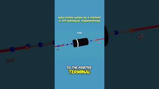 Anode  Cathode  Diode  IN4007 [upl. by Ahsik761]