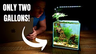 I Made a MINI DESK AQUARIUM Without a Filter Aquascape Tutorial [upl. by Amos]