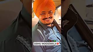 smw moosewala shortvideo viral viralvideo sidhumoosewala sidhu short shorts [upl. by Lesna]