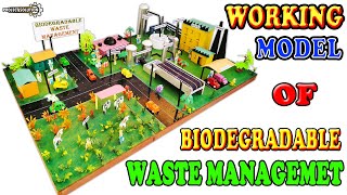 WORKING MODEL OF BIODEGRADABLE WASTE MANAGEMENT  EXHIBITION WORKING MODEL  PROJECT SOLUTION [upl. by Drofnelg]