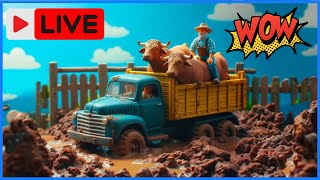 LIVE TRANSPORTING FARM ANIMALS [upl. by Nilrem172]