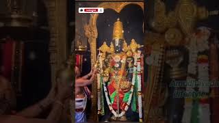 Narayana nee namame gadiyeka shortfeed lord tirupati tirumala darshan song devotional trend [upl. by Birecree779]