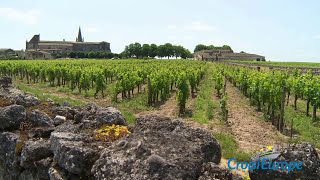 France  l Aquitaine et Bordeaux en croisière sur la Gironde et la Garonne  CroisiEurope [upl. by Camila]