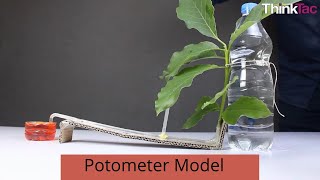 Potometer Model  ThinkTac [upl. by Aseena231]