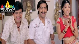 Yamadonga Movie Mamatha Mohan Das JrNTR Scene  Jr NTR Priyamani  Sri Balaji Video [upl. by Lhadnek412]