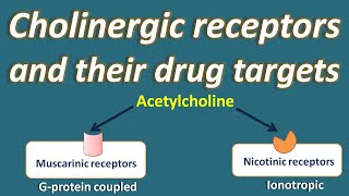 Cholinergic receptors and their drug targets [upl. by Enihpets]