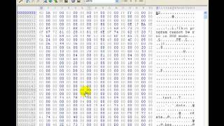 Hex Editor Password Hack with demonstration [upl. by Pinkerton]