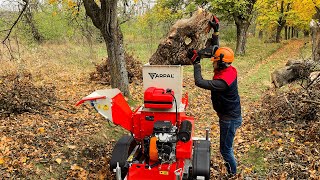 💎You have not Seen This Before Universal Wood Chipper Shredder [upl. by Odnalref189]