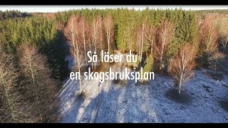 Holmens skogsskola Så läser du en skogsbruksplan [upl. by Shaia]