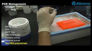 PCR Mutagenesis [upl. by Uhp]