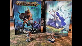 2 Rapport de bataille Age of Sigmar  Lumineth vs Disciple of Tzeentch  1000 pts [upl. by Adlig]