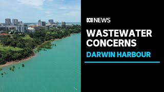 Mining company TNG scraps Darwin Harbour discharge plan after Paspaley pressure  ABC News [upl. by Alad584]