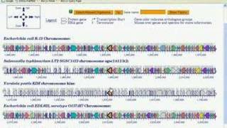 Comparative and Omics Tools in BioCyc Part 4 [upl. by Hsu]