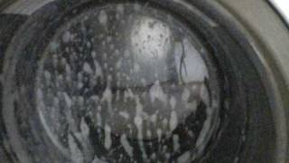 Miele W423  Dishsoap in machine  Sudsy Spin [upl. by Wilonah204]