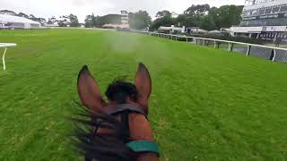 Mon Petit Cherie Grass Gallop 26 November 2024 [upl. by Happy]